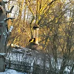 Holiday home Ahlberg Mariendorf (Kassel)