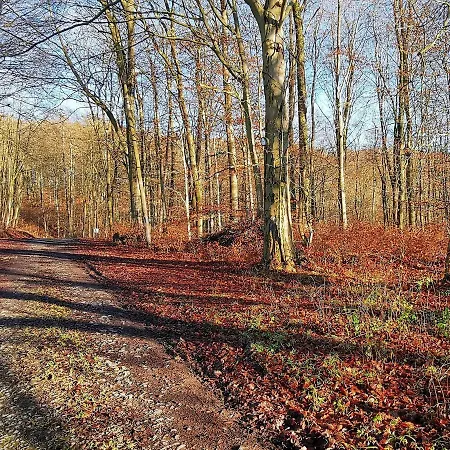 Ahlberg * Mariendorf (Kassel)