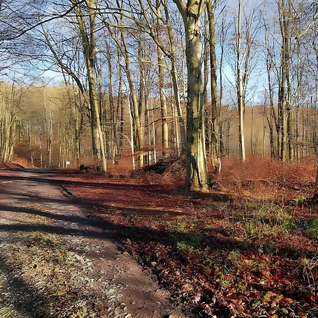 Ahlberg Hébergement de vacances Mariendorf (Kassel)