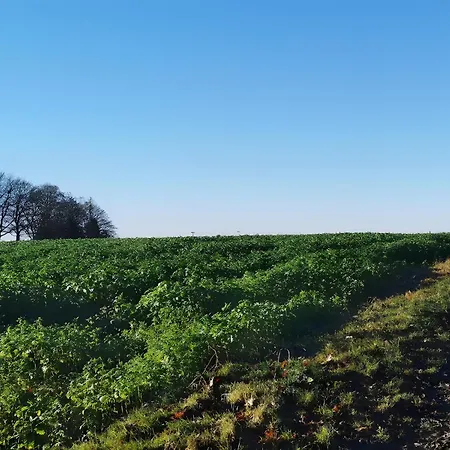 Ahlberg Hébergement de vacances