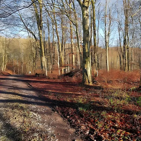Ahlberg * Mariendorf (Kassel)