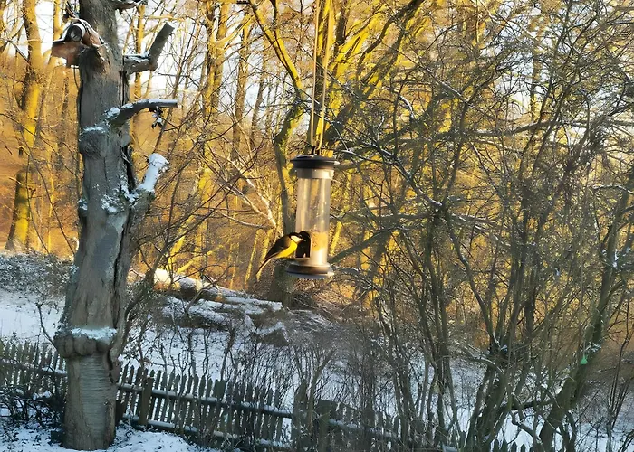 Dom wakacyjny Ahlberg Mariendorf (Kassel)