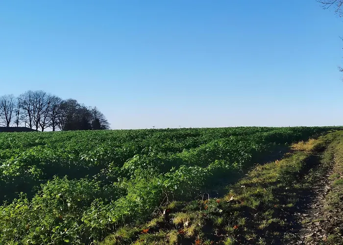 Ahlberg Dom wakacyjny